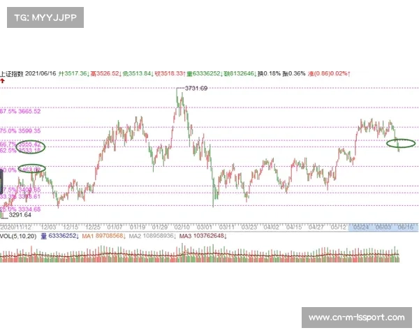 门票价格调整方案公布，球迷组织回应不一